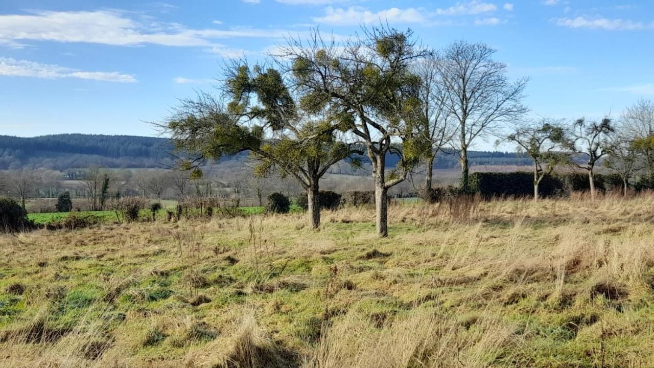 Gite Cottage Chaleureux En Pleine Campagne Vue Sur Les Monts Et Forets Et Le Chateau De Carrouges Exteriér fotografie