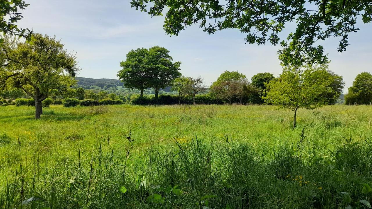 Gite Cottage Chaleureux En Pleine Campagne Vue Sur Les Monts Et Forets Et Le Chateau De Carrouges Exteriér fotografie